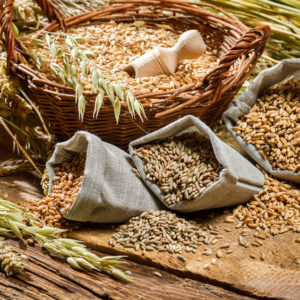 Different types of cereal grains with ears